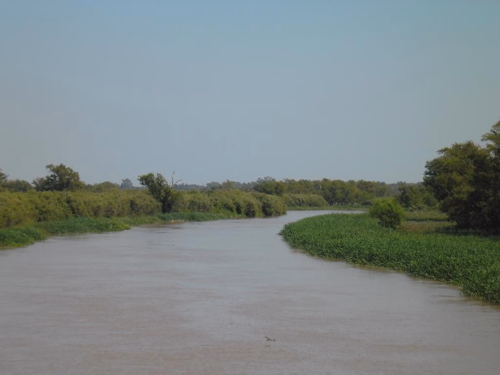¿Cuándo se prohibirá el glifosato EnFrancia?