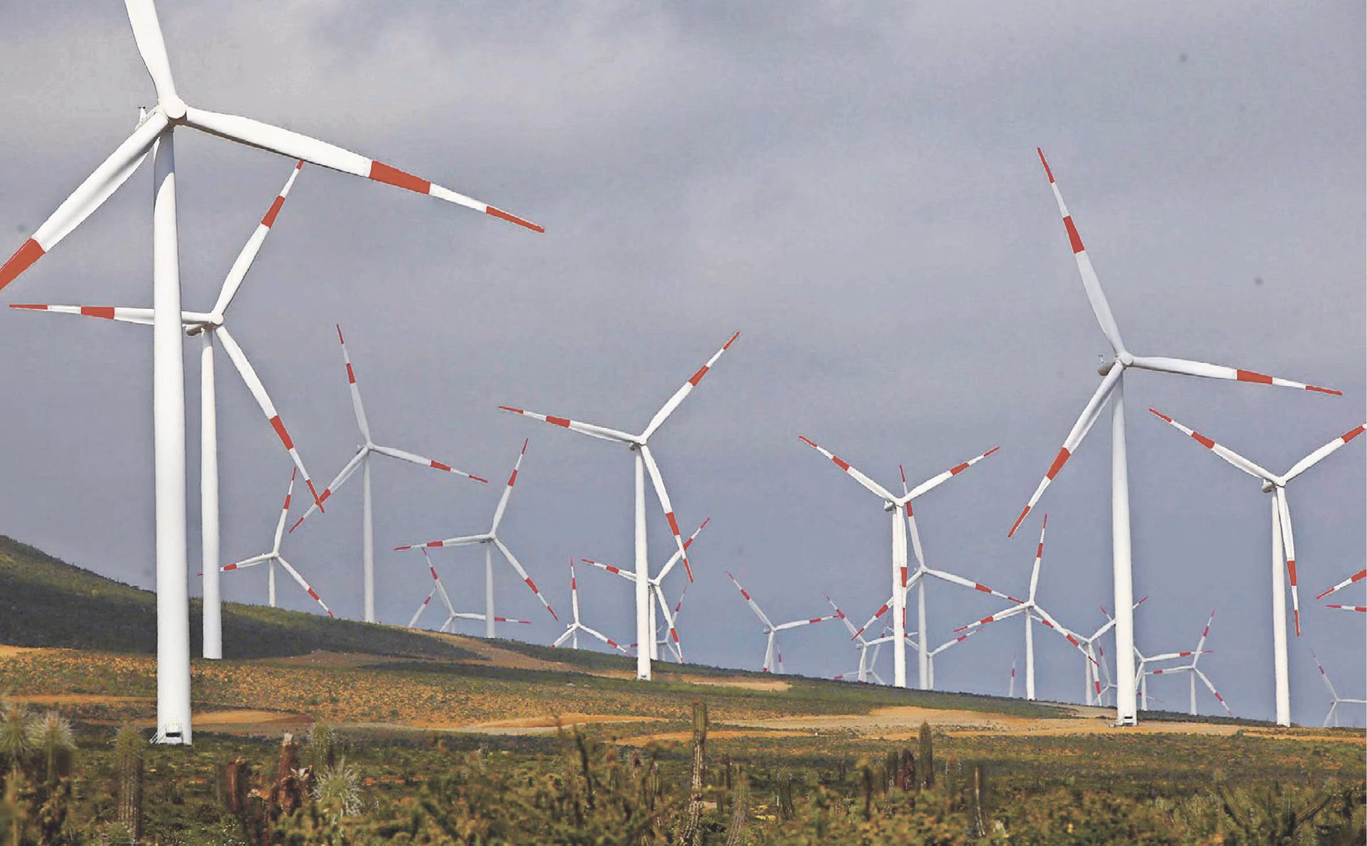 ¿Por qué los vientos locales no se utilizan para producir energía eólica?
