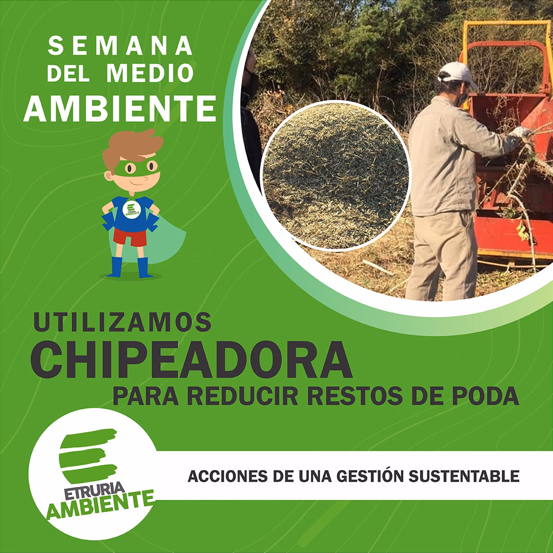 ¿Qué soluciones ofrecen las chipeadoras ecogreenchip?