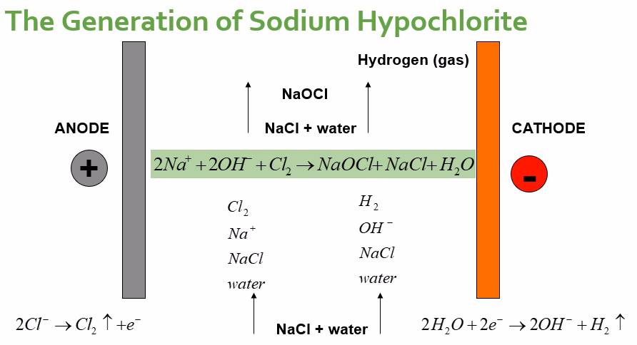Do organic chlorides have electroreductive dehalogenation mechanisms?