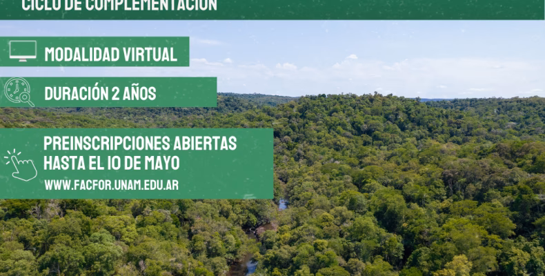 ¿Qué es el ciclo de Complementación Curricular a distancia?