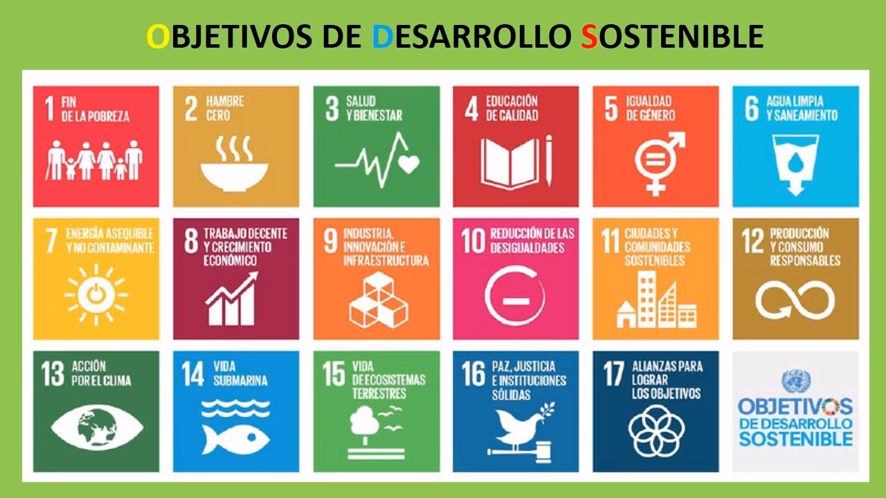 ¿Qué son las Ciencias de la sostenibilidad?
