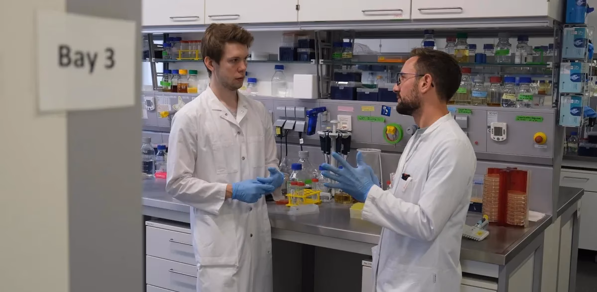 ¿Cómo proteger los ecosistemas y fomentar un desarrollo sostenible?