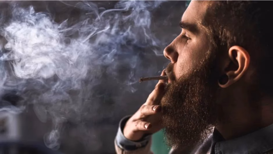 Is your cigarette habit harming the environment?