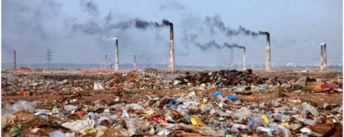 ¿Cómo afecta la falta de reciclaje al medio ambiente?