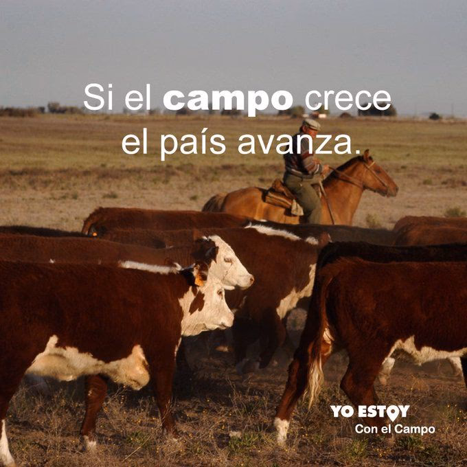 ¿Cuál es la importancia de la ganadería?