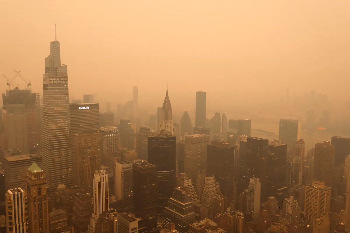 ¿Cuál fue la causa de la muerte de Houston?