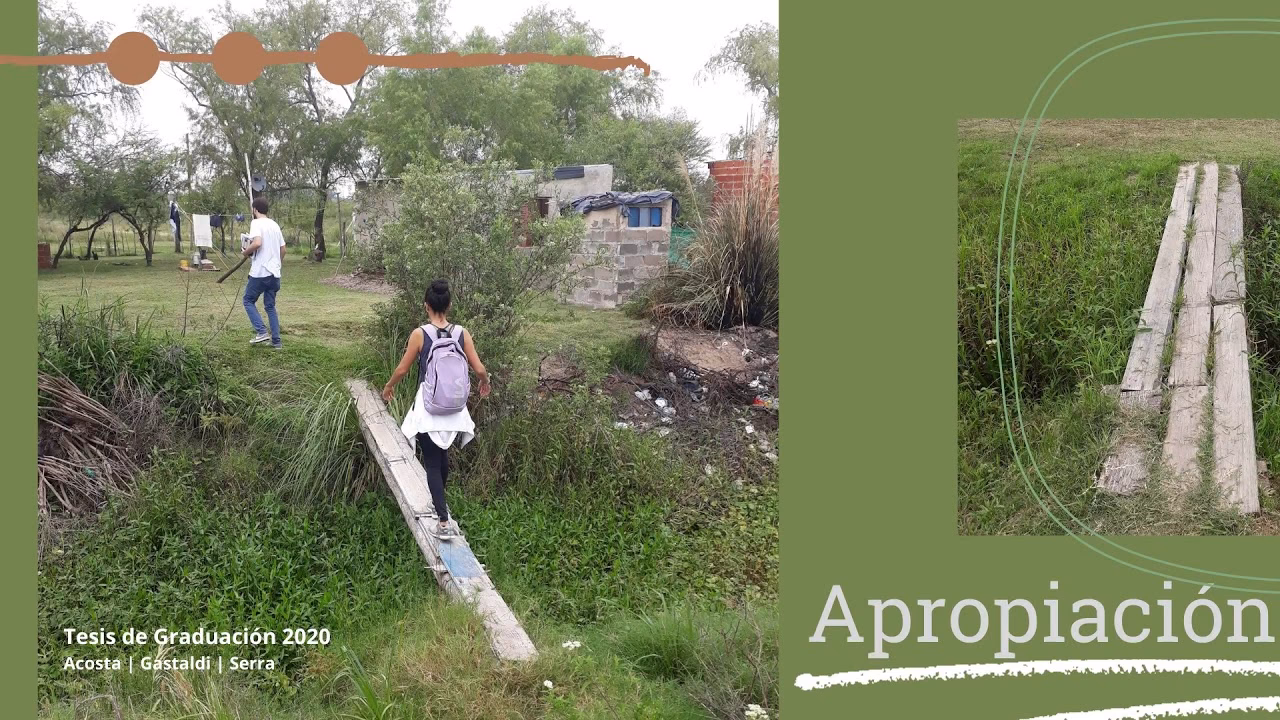 ¿Cuál es la relación entre la FAO y la UNODC?