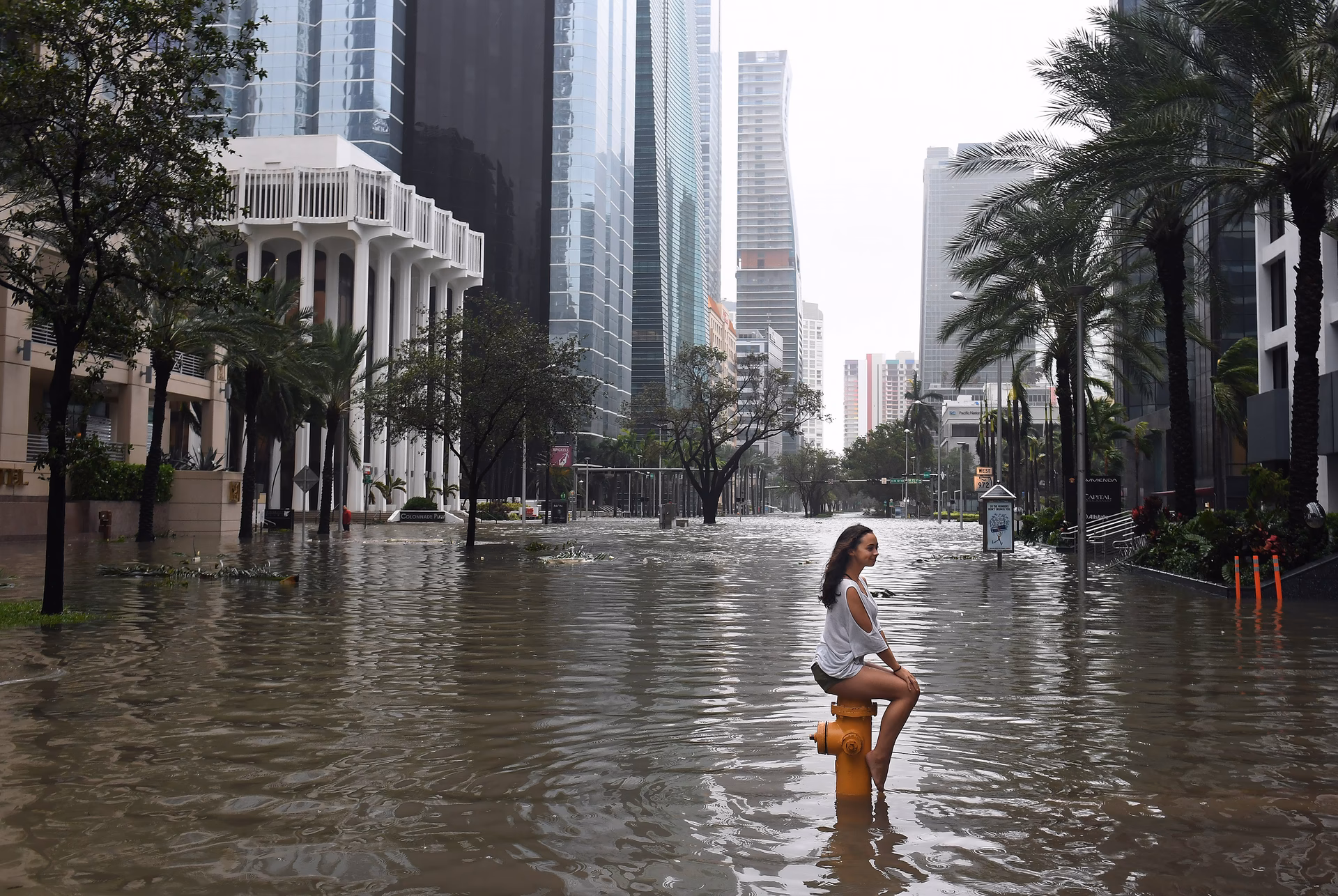 ¿Cómo afecta el calentamiento global a las ciudades?