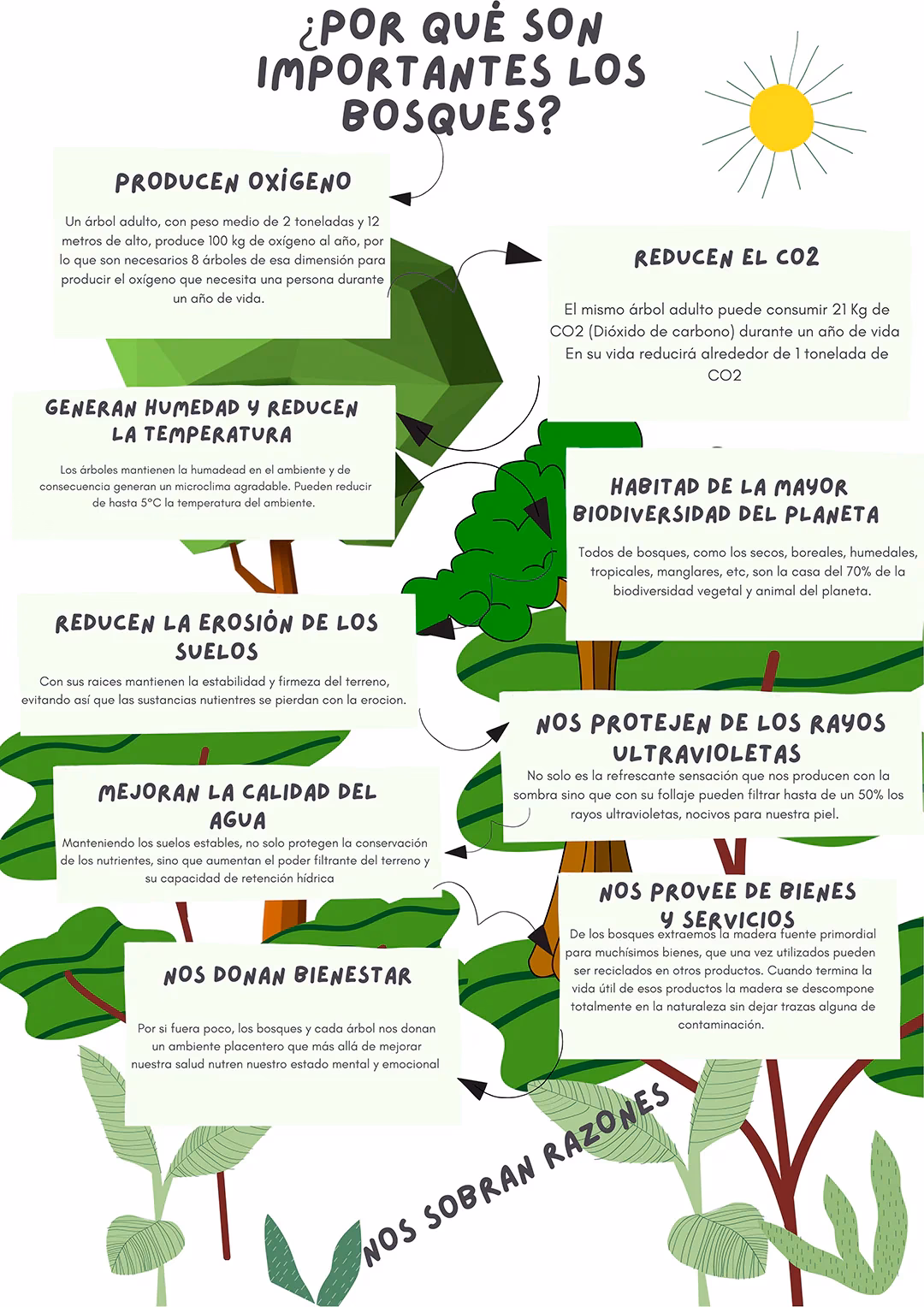 ¿Cuáles son las prácticas para la conservación de los bosques?