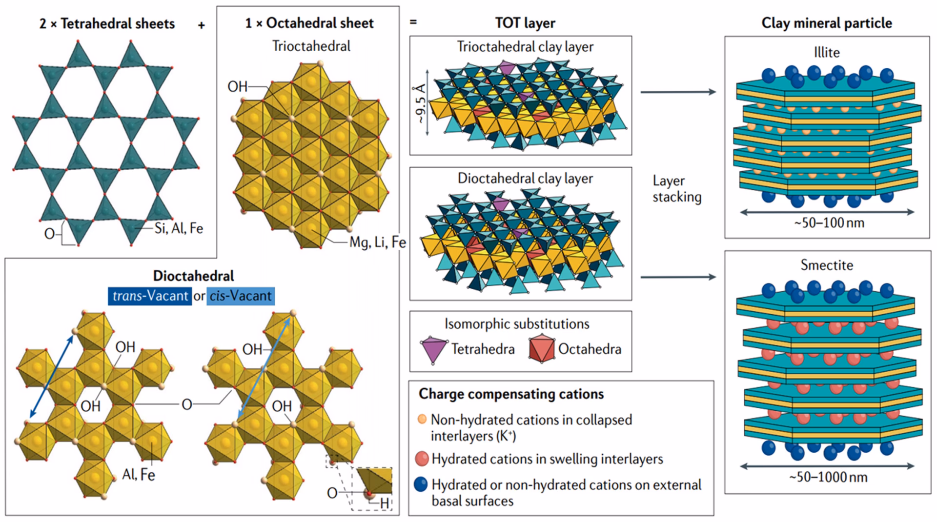 Do clay minerals composites adsorb organic water pollutants?