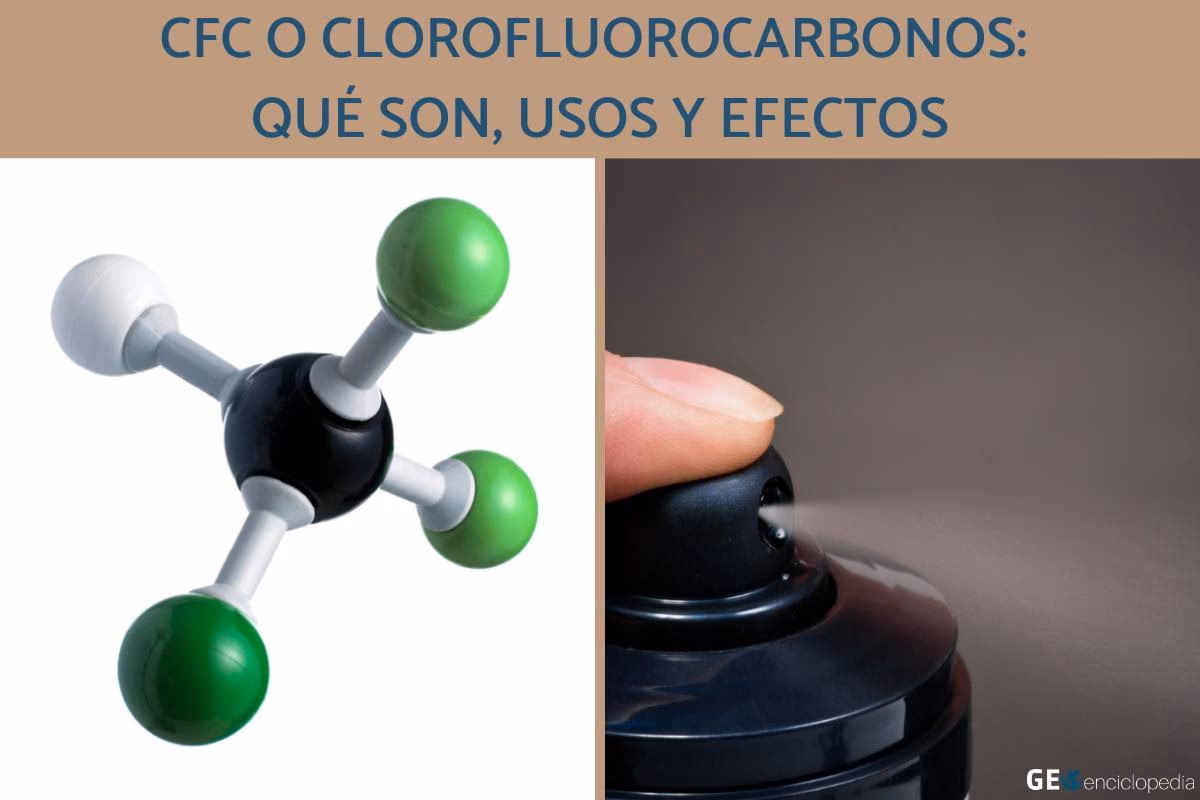 ¿Qué medidas se tomaron para regular y eliminar gradualmente el uso de clorofluorocarbonos?