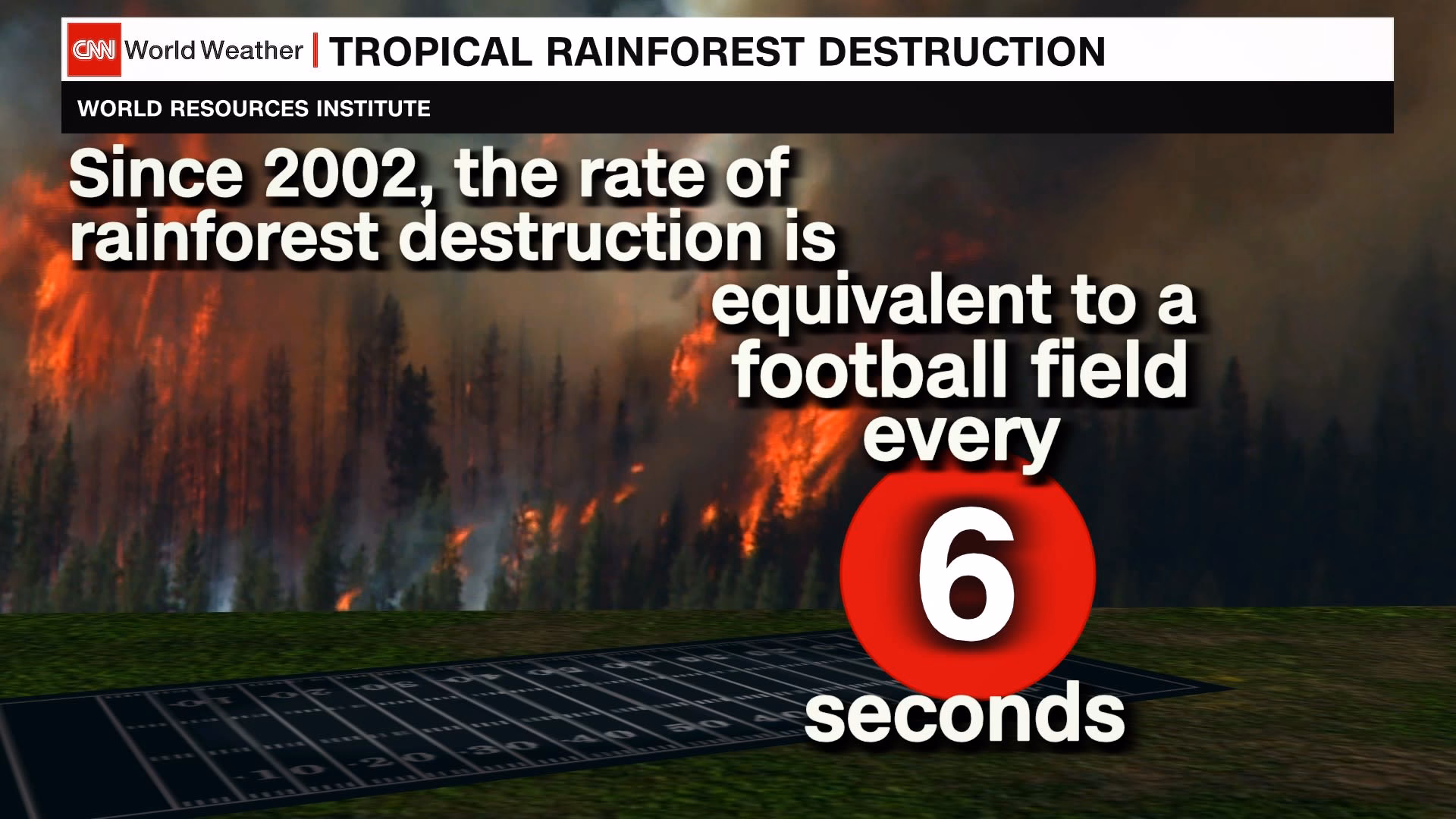 Did Costa Rica suffer from deforestation?