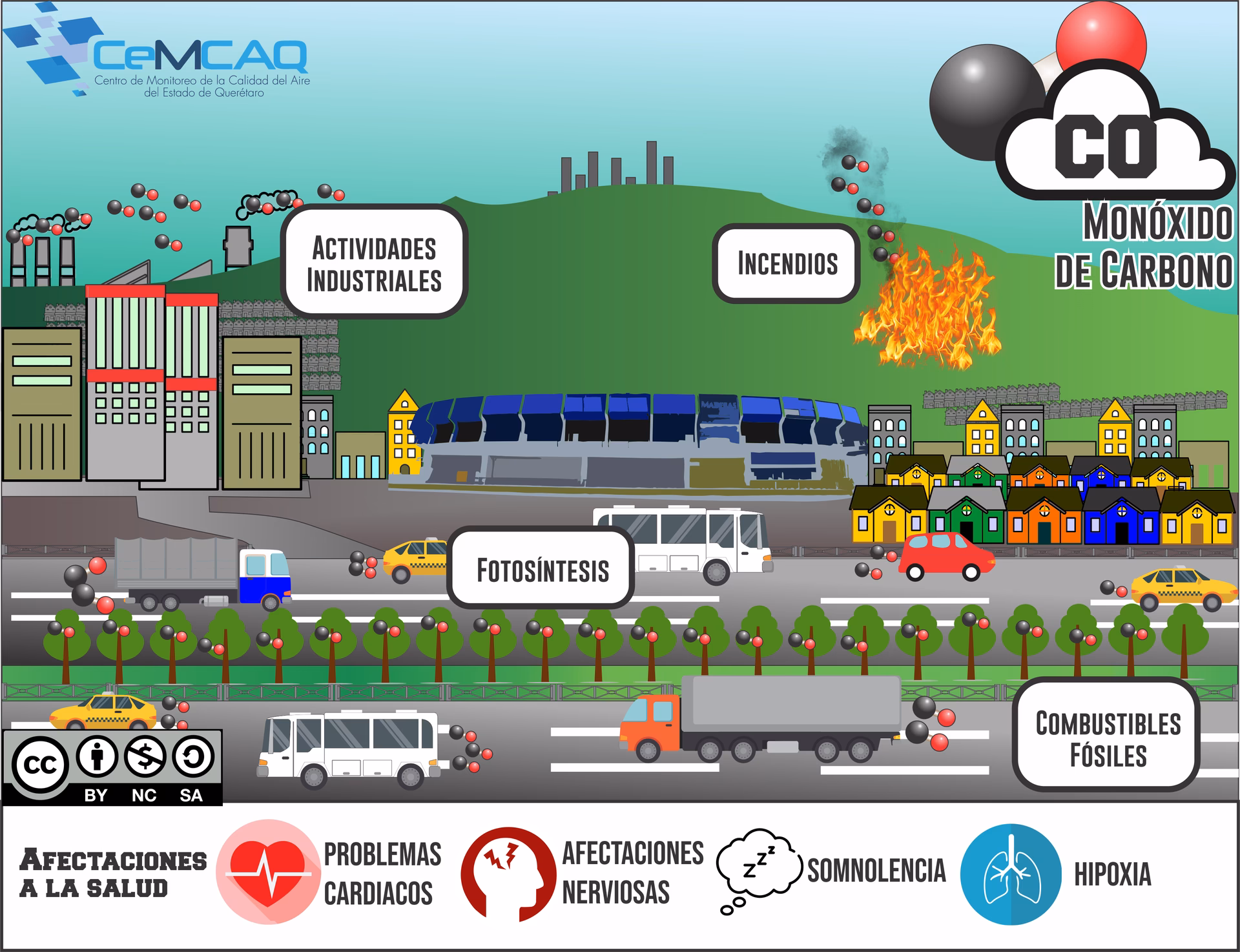 ¿Cuáles son los efectos del co?