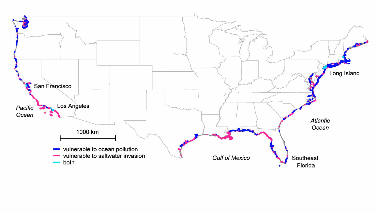 What is a contaminated land survey?