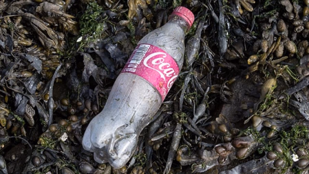 ¿Qué pasó con los productos de Coca Cola?