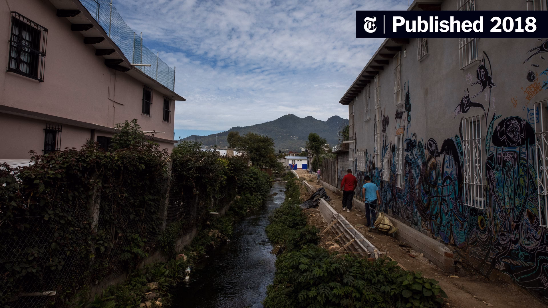 ¿Qué pasará con las matas de Coca?