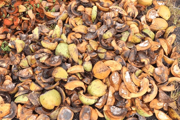 ¿Cómo se puede disfrutar del agua de coco sin sabor añadido?