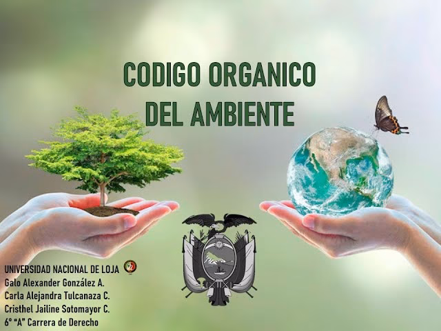 ¿Qué es el Código Orgánico del Ambiente?