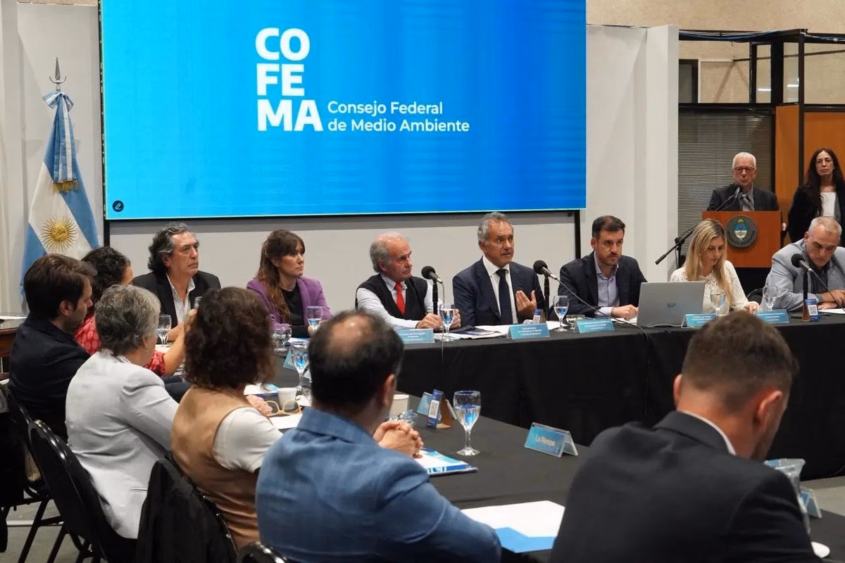 ¿Qué es el Consejo Federal?