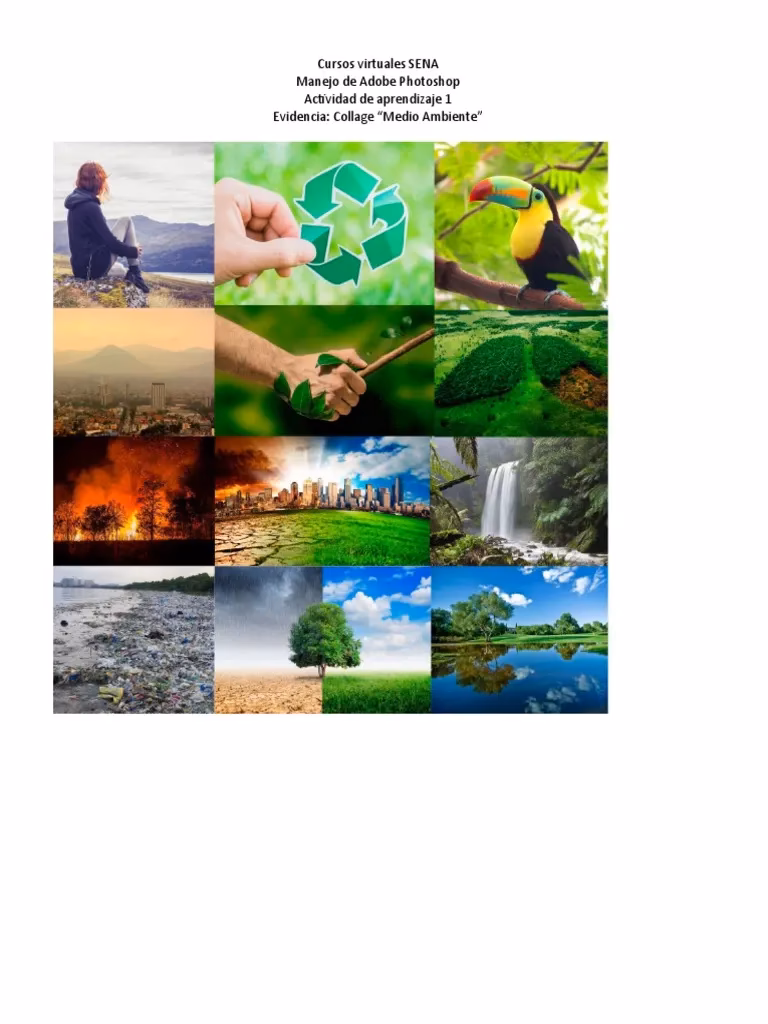 ¿Qué ofrece Pinterest para collage del Medio Ambiente?