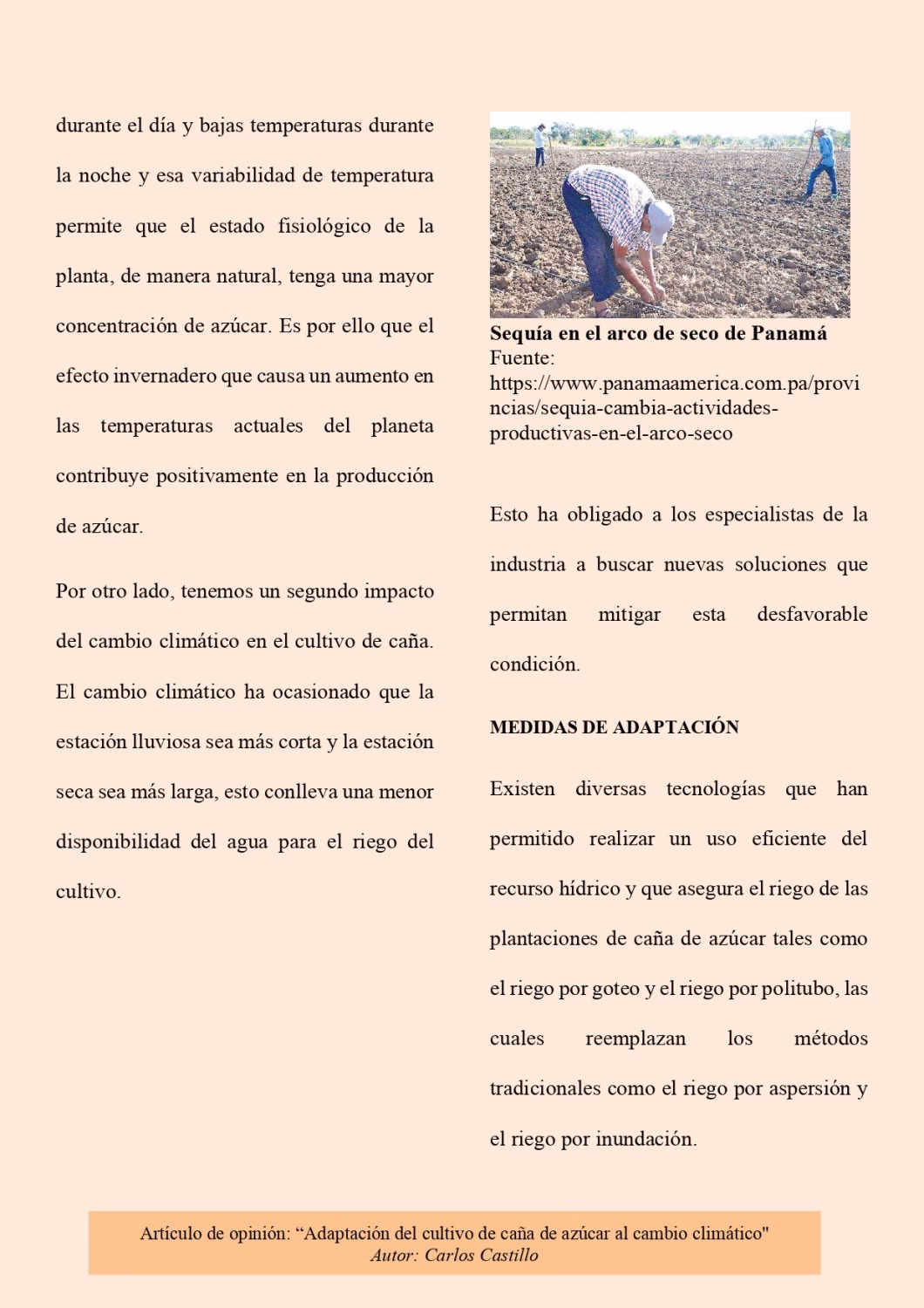 ¿Cuál es el rol del suelo en el cambio climático?