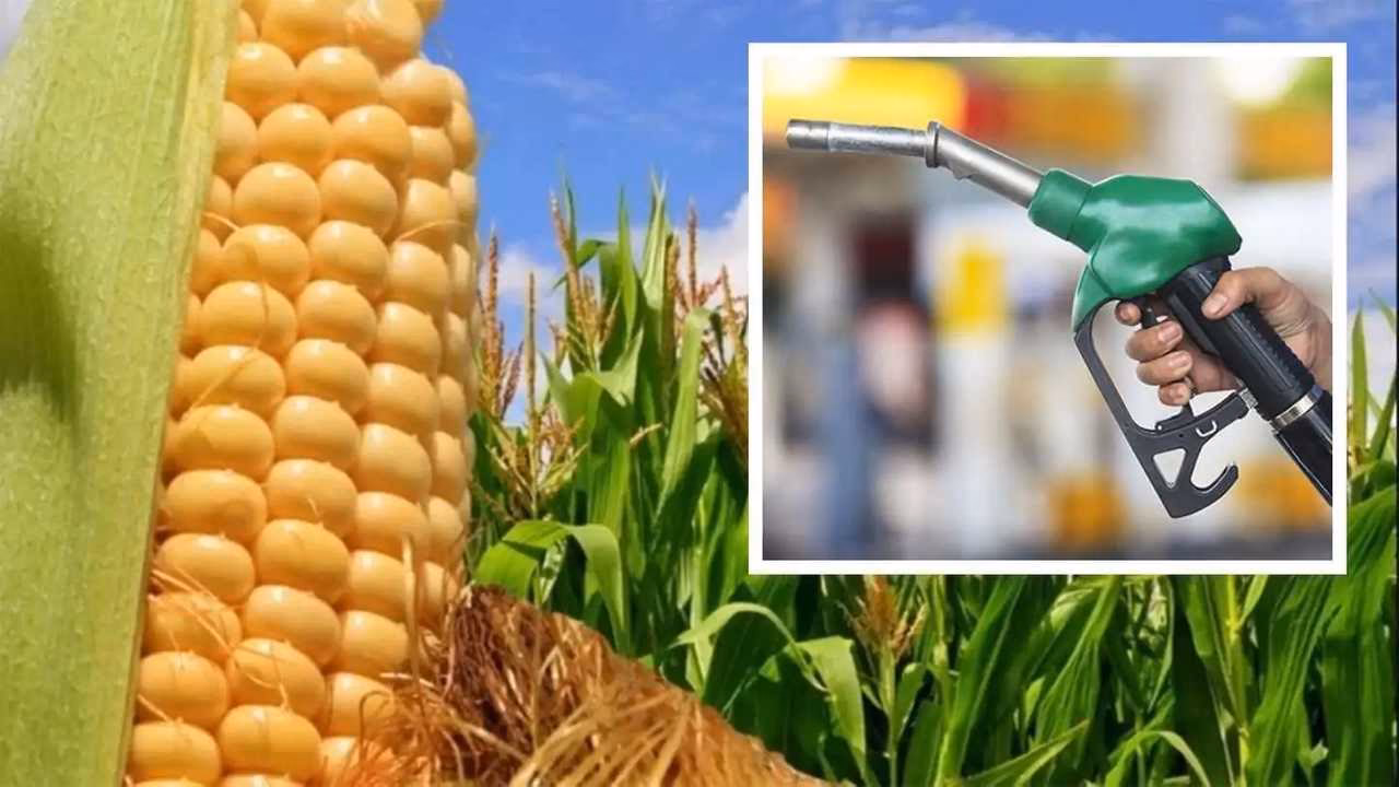 ¿Cuál es la cantidad real de alcohol en el combustible?