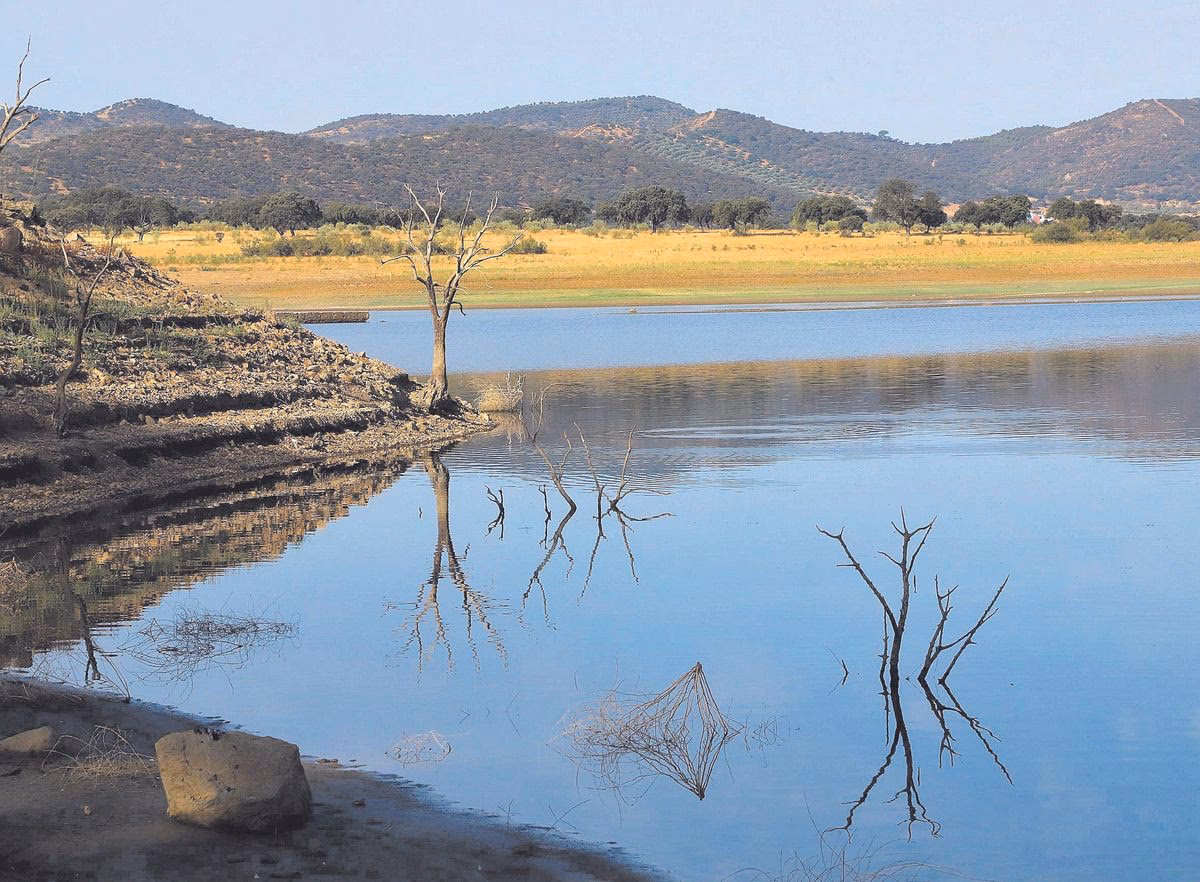 ¿Cómo afectan las búsquedas de combustibles fósiles al cambio climático?