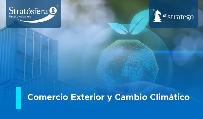 ¿Cuáles son las proyecciones de la Organización Internacional sobre el cambio climático?