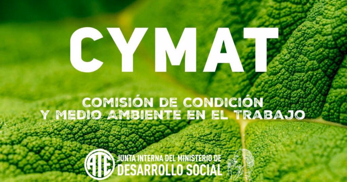 ¿Qué es el plan de trabajo de la Comisión Ambiental?