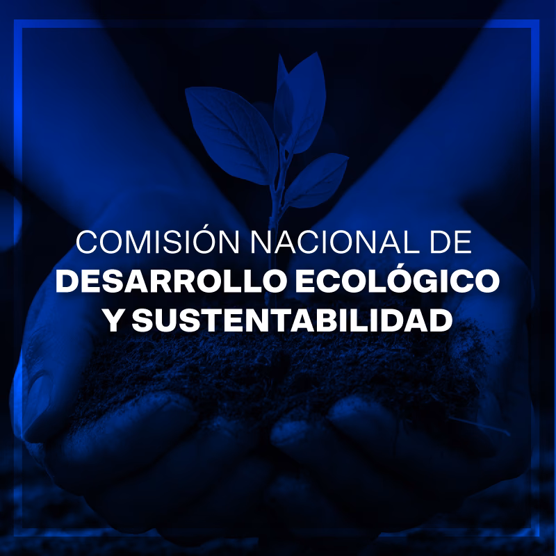 ¿Qué reconocimiento ganó México en la Cumbre Mundial sobre Desarrollo Sustentable?