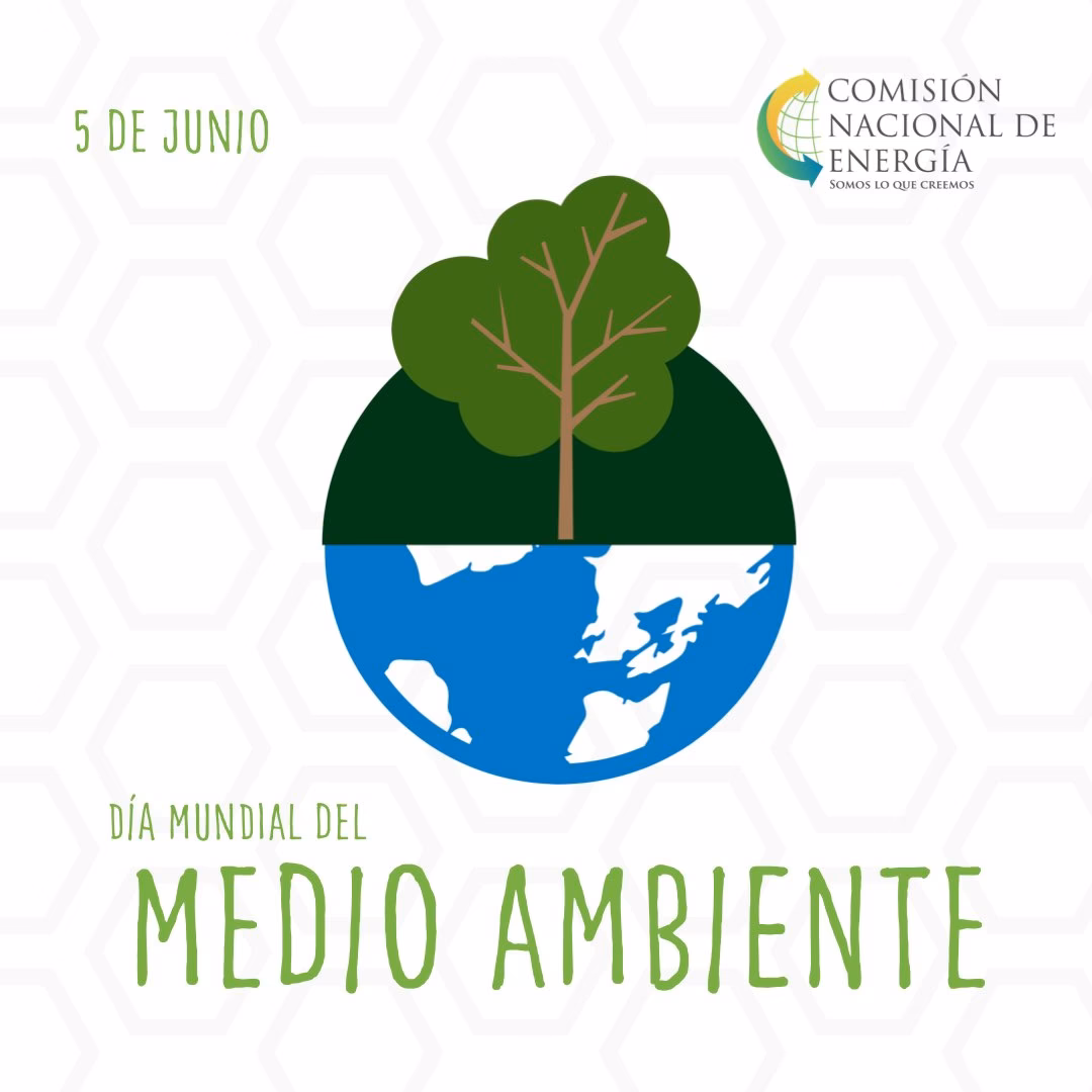 ¿Quién es el coordenador de la Comisión de medio ambiente?