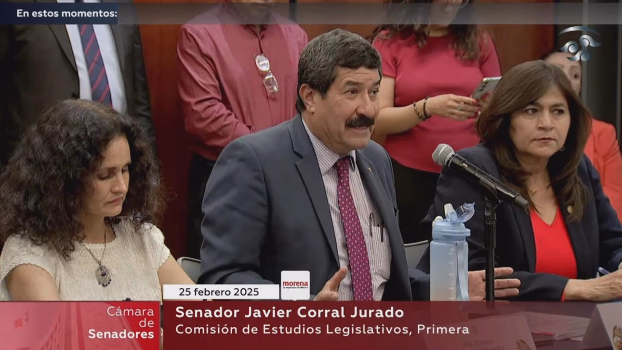 ¿Cuáles son las funciones de las Comisiones municipales de Ecología?