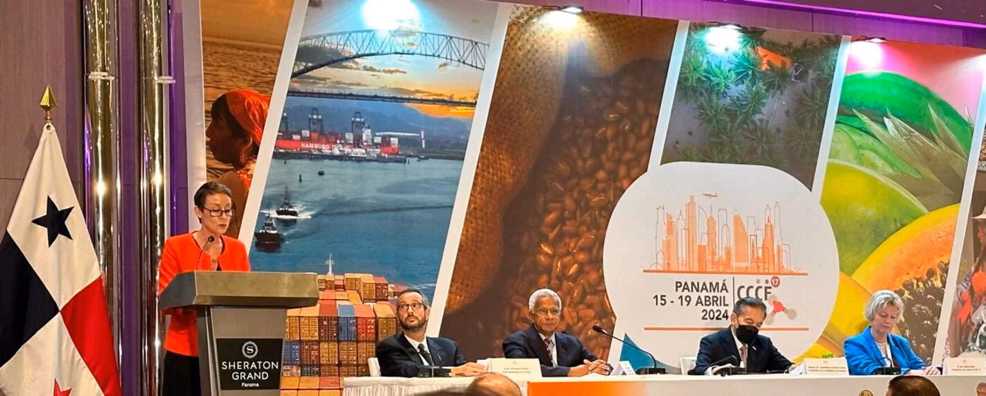 ¿Qué es el Codex alimentario?