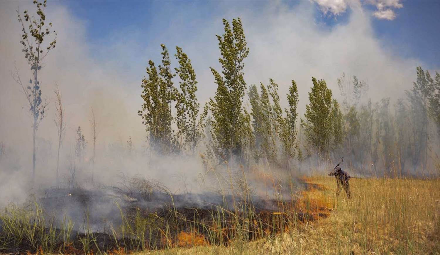 ¿Cuáles son los efectos del viento Zonda en la región de cuyo?