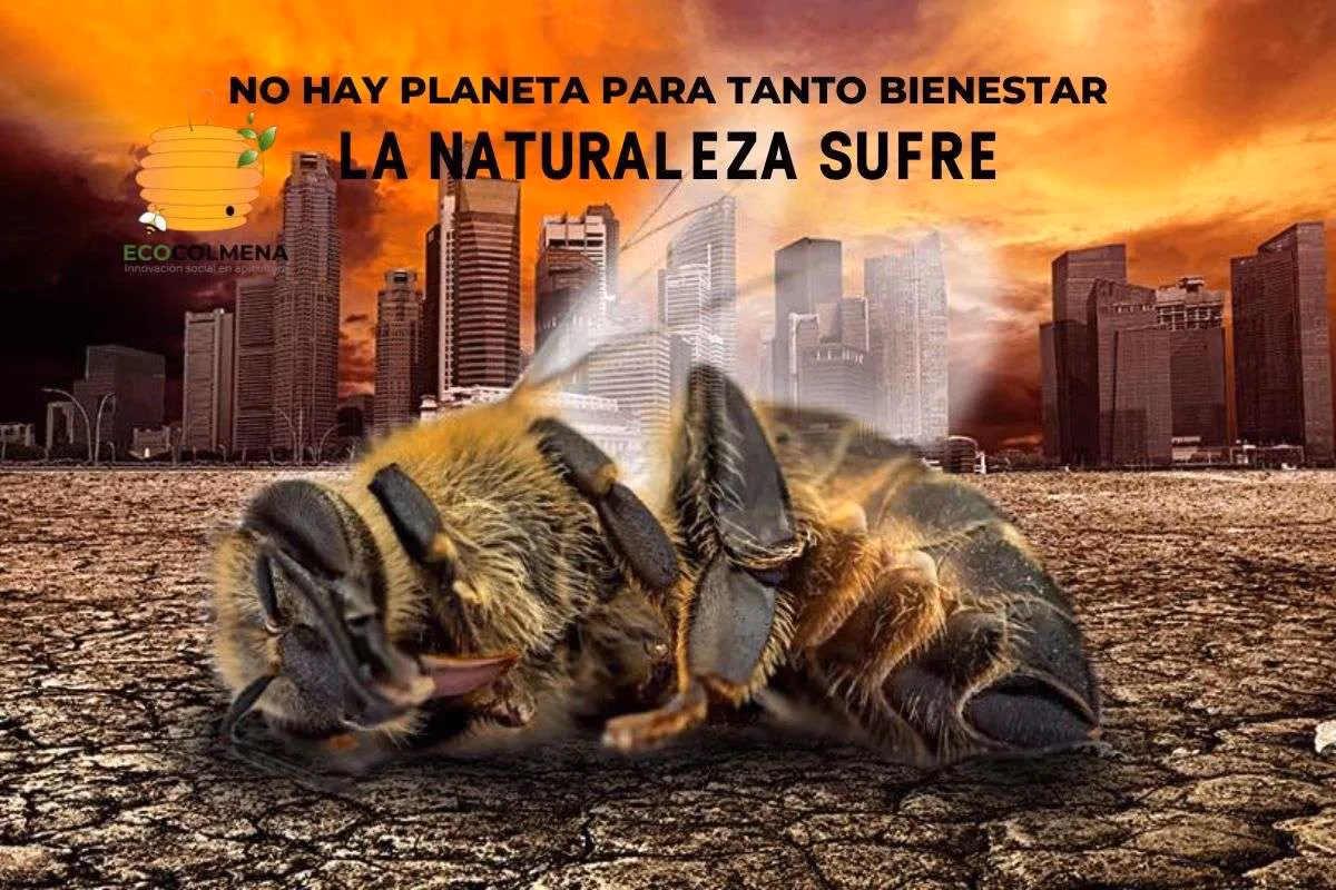 ¿Cómo afecta la precipitación irregular a las abejas?