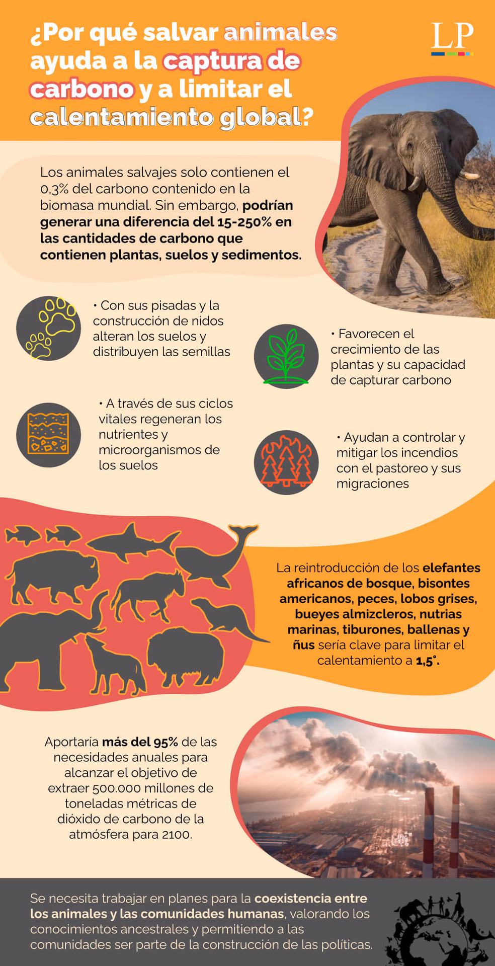 ¿Cómo afecta el cambio climático a los animales?