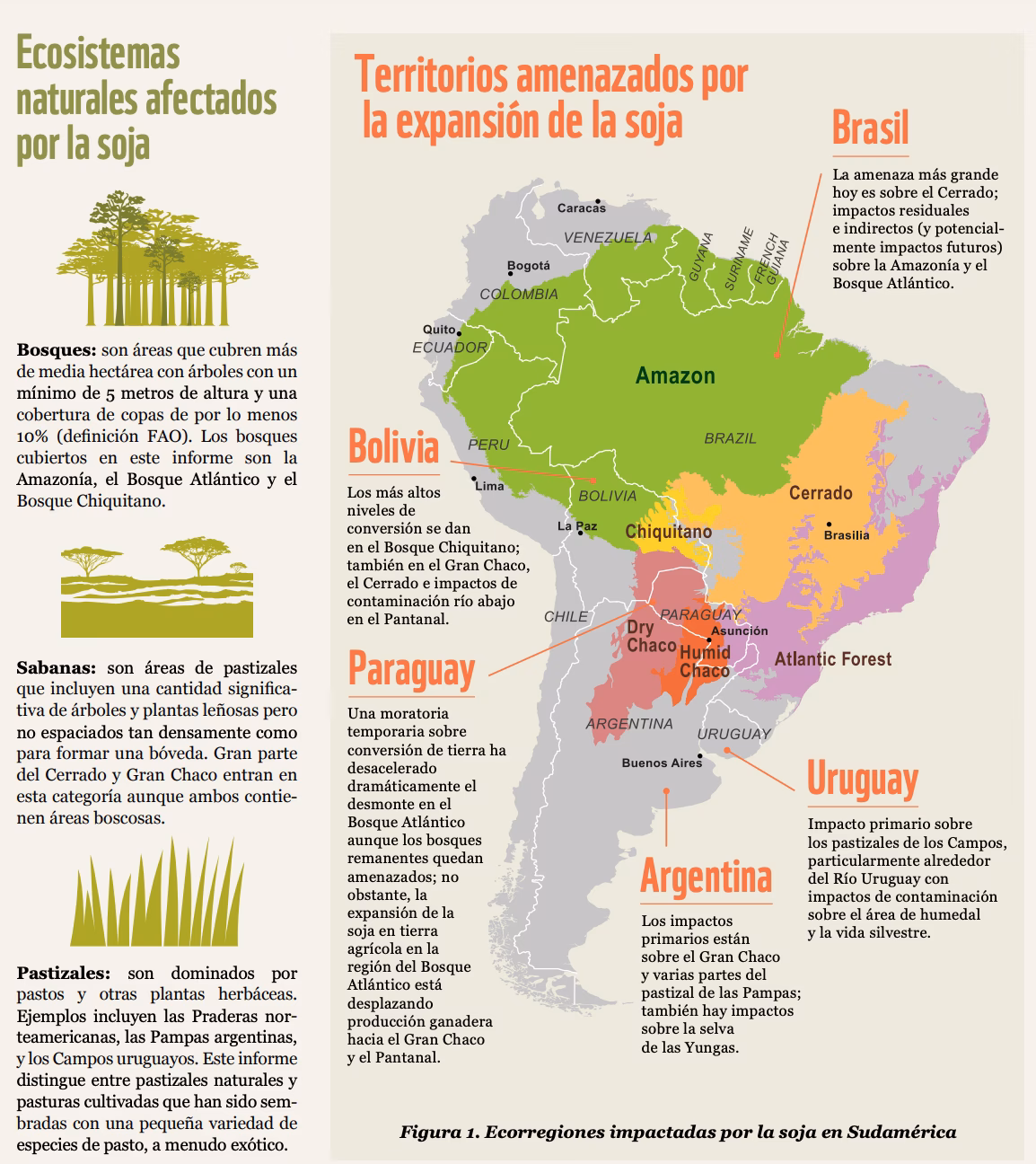 ¿Cuáles son los efectos secundarios de la soja?