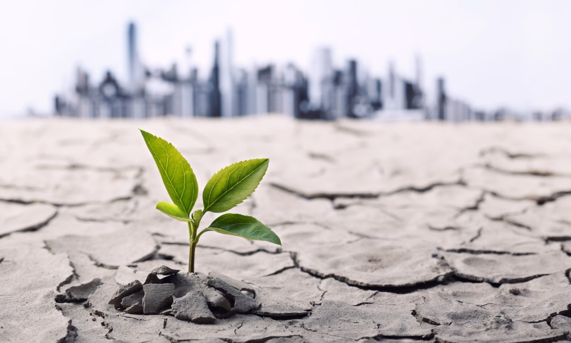 ¿Cómo afecta el cambio climático a la economía?
