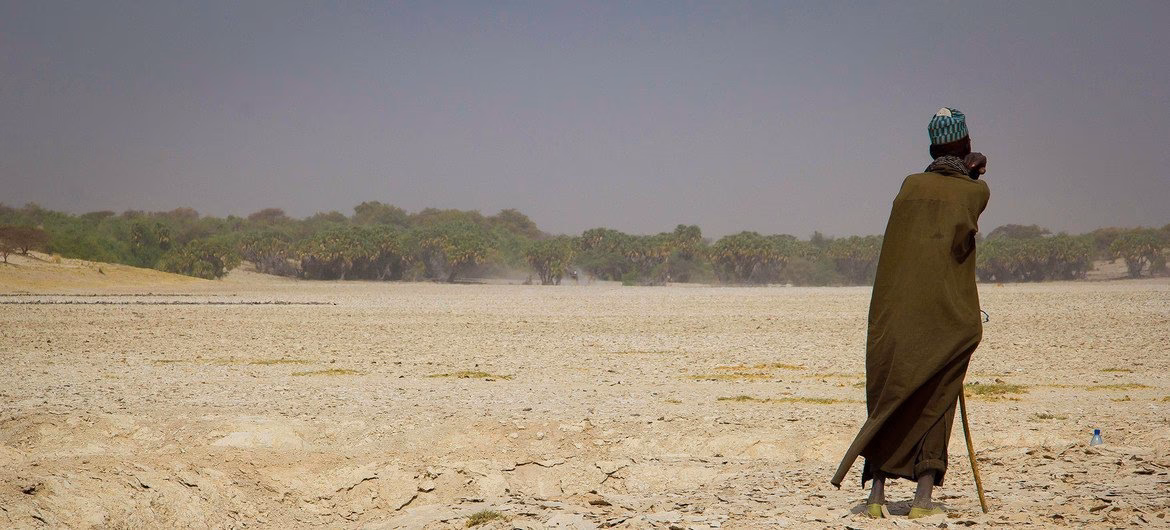 ¿Cómo afecta el calentamiento global al mundo?