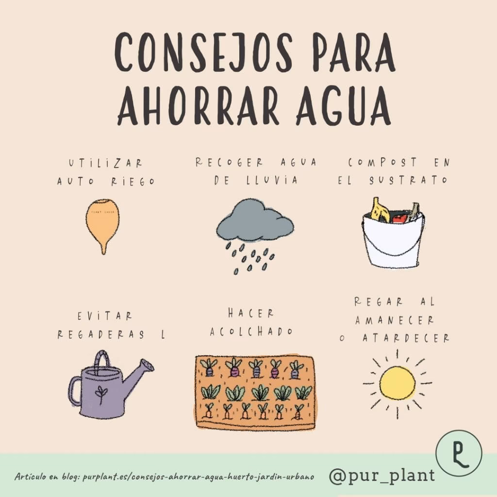 ¿Cómo dividir tu jardín en diferentes zonas de riego?