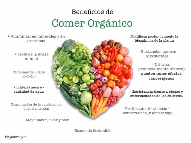 ¿Por qué es importante elegir alimentos orgánicos?