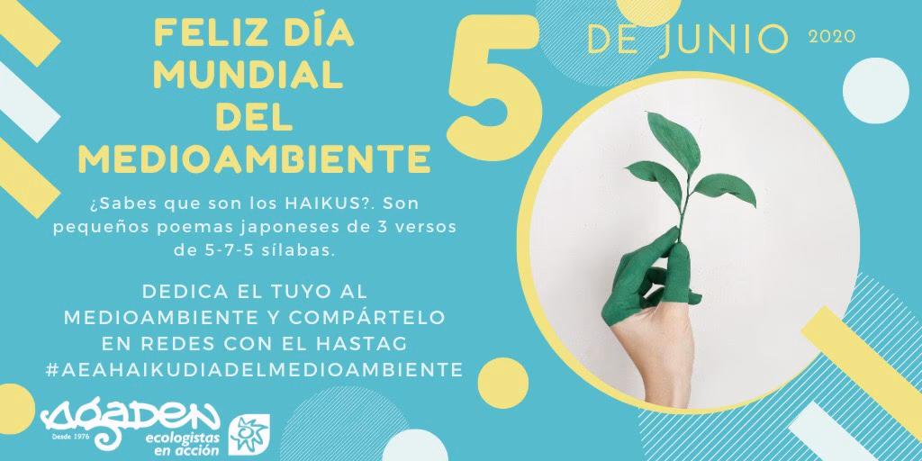 ¿Por qué celebrar un día como este en la empresa?