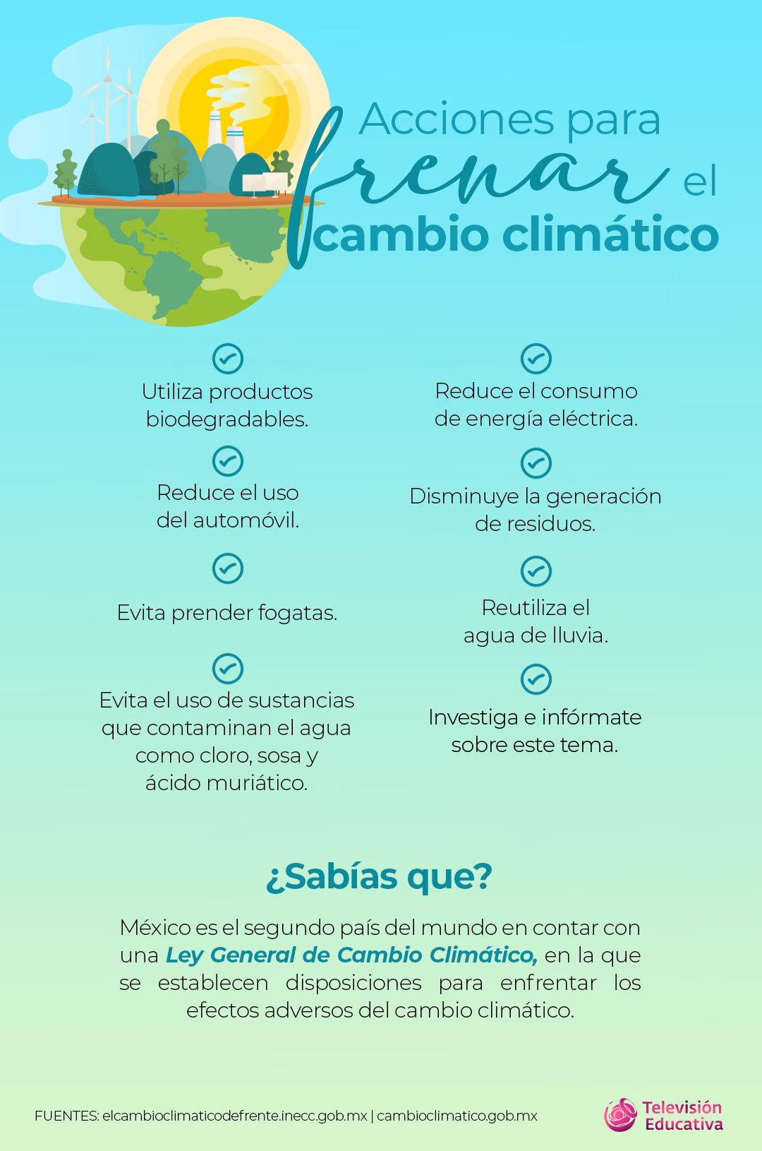¿Cómo combatir el cambio climático?