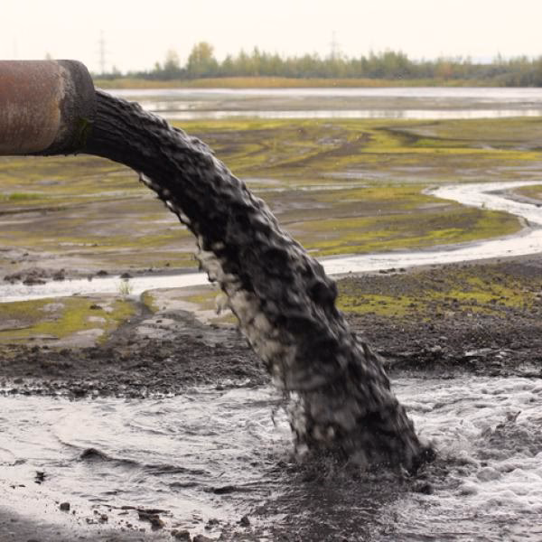 ¿Qué es la contaminación?