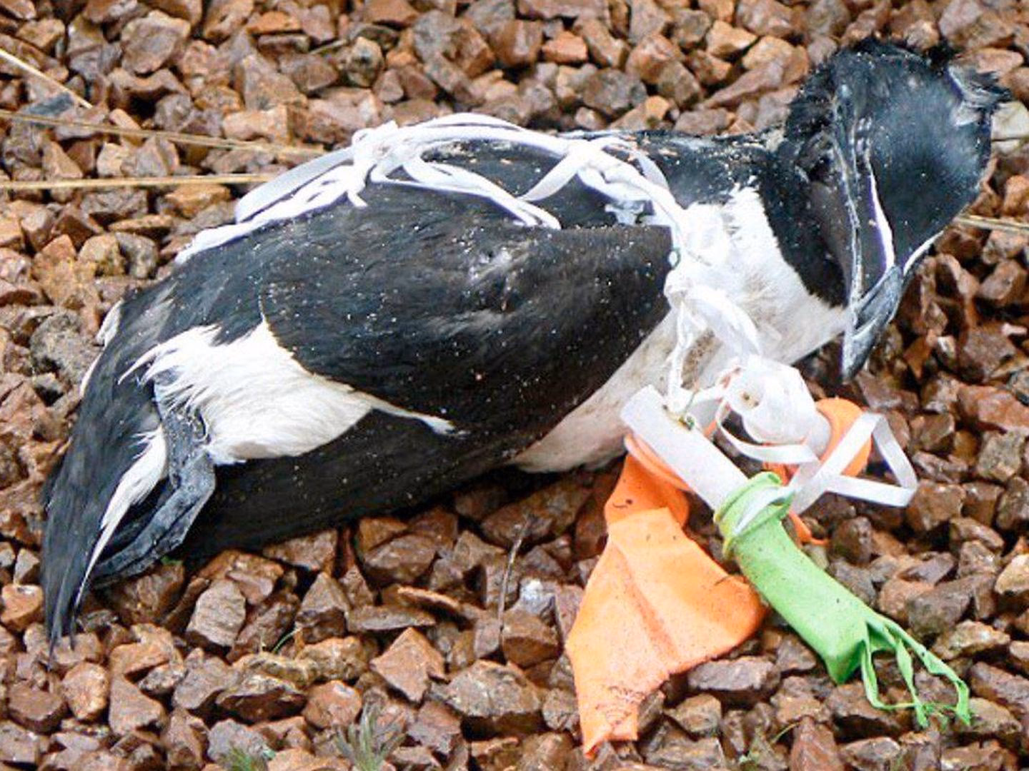 ¿Cuál es el impacto ambiental de desechar bombillas en la basura?