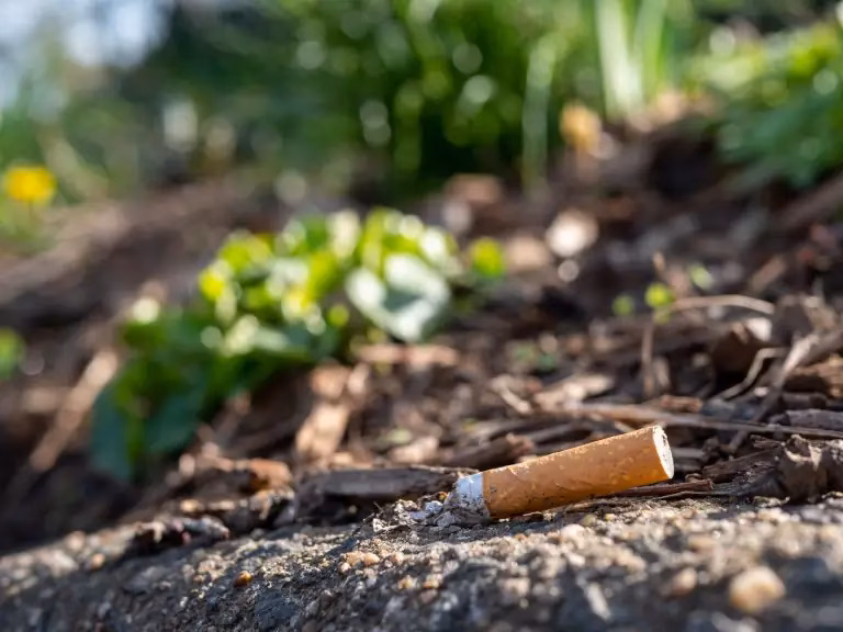 ¿Cómo afecta el tabaco al medio ambiente?