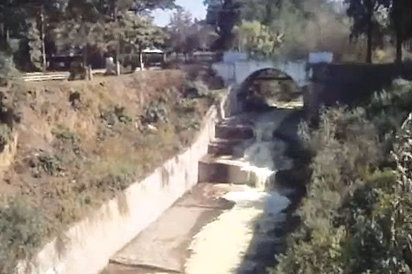 ¿Cuál es la relación entre la citricultura y el ambiente?