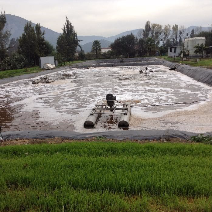 ¿Cuál es la evolución de la maltería?