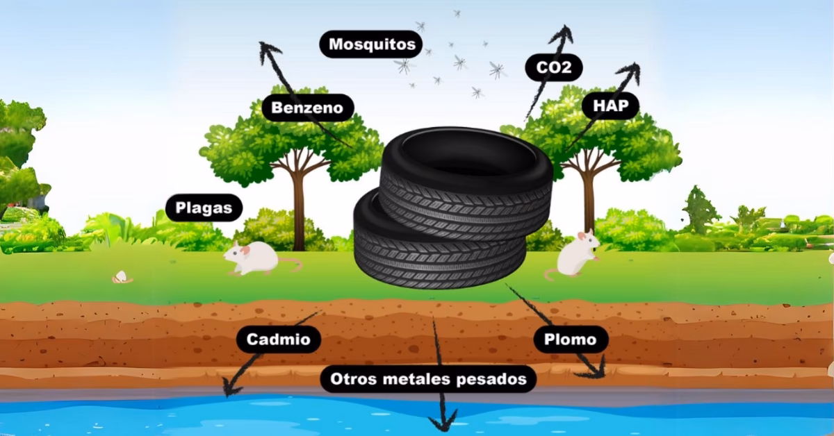 ¿Cómo afectan los neumáticos al medio ambiente?